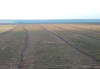 Fazenda 4.200 hectares Oportunidade