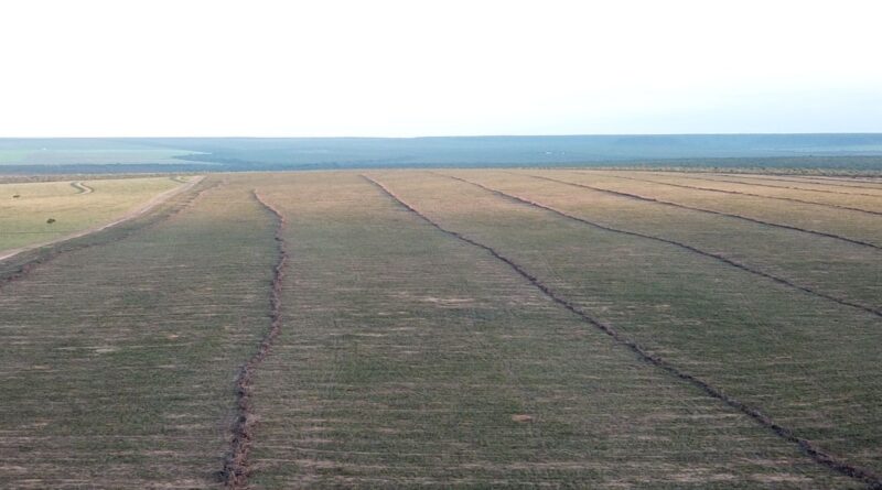 Fazenda 4.200 hectares Oportunidade